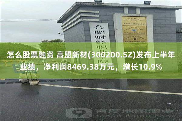 怎么股票融资 高盟新材(300200.SZ)发布上半年业绩，净利润8469.38万元，增长10.9%