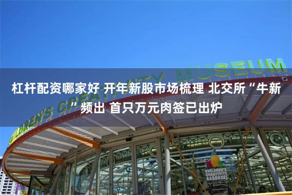 杠杆配资哪家好 开年新股市场梳理 北交所“牛新”频出 首只万元肉签已出炉