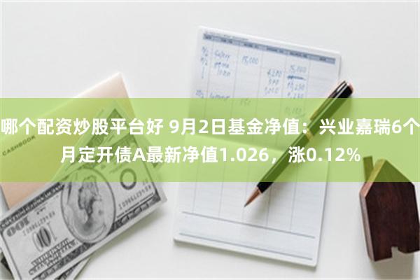 哪个配资炒股平台好 9月2日基金净值：兴业嘉瑞6个月定开债A最新净值1.026，涨0.12%