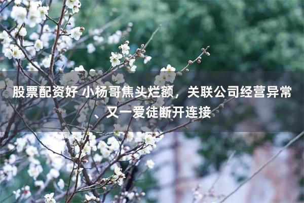 股票配资好 小杨哥焦头烂额，关联公司经营异常、又一爱徒断开连接