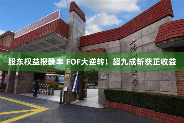 股东权益报酬率 FOF大逆转！超九成斩获正收益