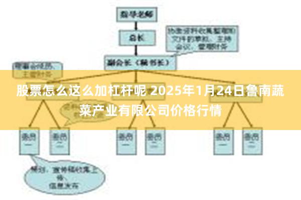 股票怎么这么加杠杆呢 2025年1月24日鲁南蔬菜产业有限公司价格行情