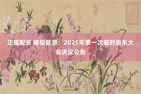 正规配资 建投能源：2025年第一次临时股东大会决议公告