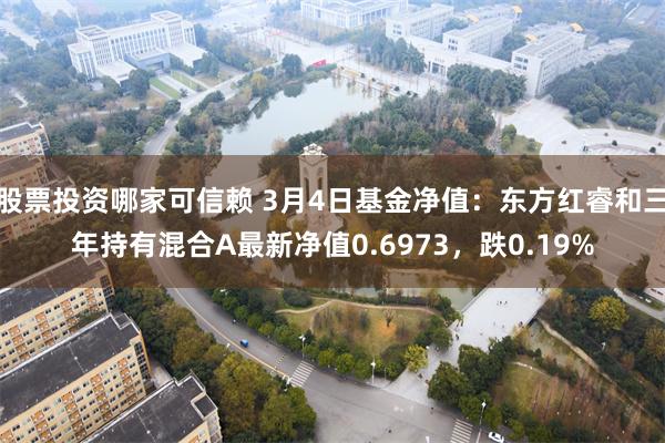 股票投资哪家可信赖 3月4日基金净值：东方红睿和三年持有混合A最新净值0.6973，跌0.19%