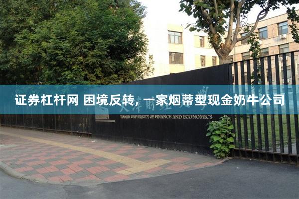 证券杠杆网 困境反转, 一家烟蒂型现金奶牛公司
