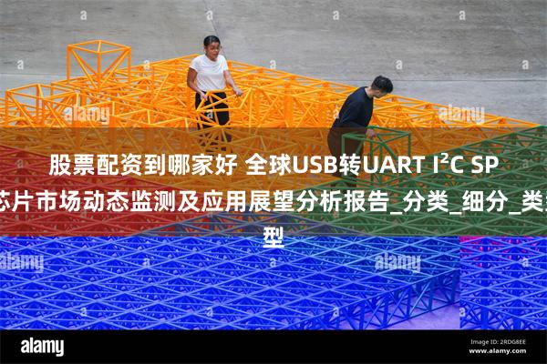 股票配资到哪家好 全球USB转UART I²C SPI芯片市场动态监测及应用展望分析报告_分类_细分_类型